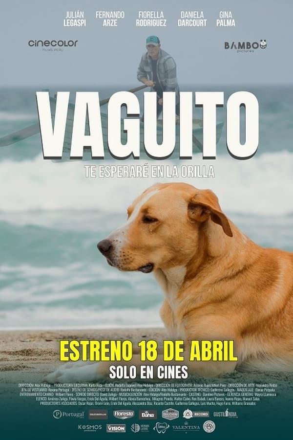 Pelicula en Cartelera